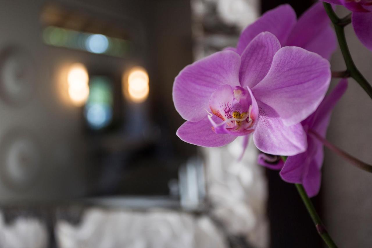 Moya Safari Villa Hoedspruit Bagian luar foto
